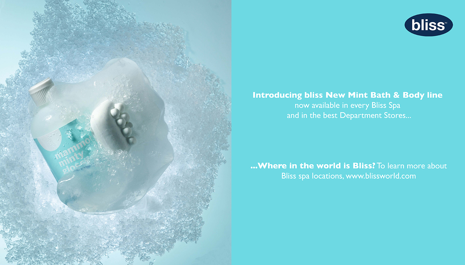 Bliss+Ad-13a.jpg