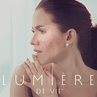 LDV_GIF_Version1.gif